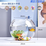 团圆月办公室小鱼缸加厚透明玻璃乌龟缸客厅家用桌面圆形迷你小型金鱼缸 25CM圆球+彩石6件套