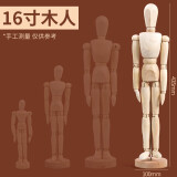 柏伦斯漫画小木人模型木头人素描绘画木偶人关节人偶模型木手人体模型美术用室内摆件 16英寸【40.64cm】木人