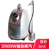 麦尔电器（Maier） 龙在飞直销5GW07LB服装店立式挂烫机加粗支杆2000W大功率澎湃蒸汽大容量不锈钢喷头家用更靠谱 闪银