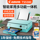 佳能（Canon） TS5380打印机家用喷墨连供彩色黑白家庭学生手机无线照片复印扫描一体机自动双面 TS5380【粉绿】官方标配