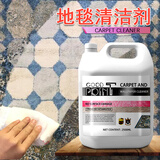 GOOD POINT地毯清洗剂2500ml 布艺沙发床垫清洁剂去污干洗剂免水洗低泡沫