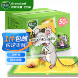 绿叶（Green Leaf）粘鼠板老鼠粘板捕鼠器强力胶粘老鼠贴耗子粘板50只装/箱GL02106