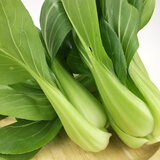 密之蓝天农家新鲜蔬菜油菜约450g生鲜嫩宝宝小油菜鲜嫩叶菜类火锅食材现摘 450g