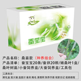 卓盛花卉【当天发货】蚕宝宝活体蚕卵学生科学养蚕套装蚕种蚕籽彩色茧工具 种植款【种养结合】