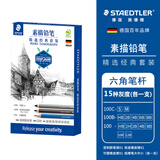 施德楼（STAEDTLER）素描铅笔经典套装 美术专业手绘速写初学者艺考联考试画画工具笔袋装100SET5