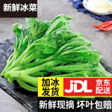 良知农哥【JD】山东冰草 新鲜冰菜沙拉蔬菜冰叶 健康轻食 4斤