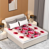 红豆（HONG DOU） 电热毯双人双控超大三档调温 除湿螨单人安全防潮学生宿舍电褥子 毛毯双人双控150*180cm花色随机