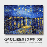 史历克 数字油画DIY世界大师名作合集1手工涂色画创意减压填色油画 罗纳河上的星夜（梵高）FZ-6286 40*50cm 彩布(要自己涂色)