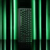 雷蛇（Razer）小蜘蛛 黑寡妇蜘蛛X竞技版背光款 机械键盘 有线键盘 游戏键盘 87键 电竞 绿轴