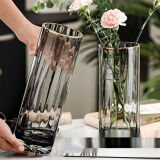 卡苏（KASU）101轻奢创意直筒透明花瓶现代玻璃花瓶水养富贵竹器餐桌摆件 2个装【款式随机】