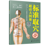 标准取穴超清大图册（赠手足反射区挂图 大尺寸全彩 真人图解 扫码视频指导）