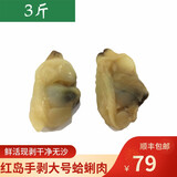 鱼姐海成 青岛红岛蛤蜊肉新鲜手剥花蛤肉花甲肉贝类冷冻蚬肉3斤袋装
