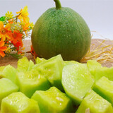 凤鸣雅世 四季蔬菜种子都市菜园速生阳台农家庭院盆栽油菜菠菜芹菜香菜籽 好吃的甜宝甜瓜种子5克/袋