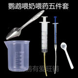 甲门（JIAMEN）鹦鹉喂奶工具喂食勺子幼鸟雏鸟乳鸽子奶粉温度计塑钢针管 刻度杯 鹦鹉鸽子普通5件套