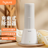 hysure 家用除湿机衣柜除湿器迷你衣橱小型钢琴可循环充电式抽湿机防潮防霉吸湿干燥机 0.05L/天 2㎡以内 除湿机套装