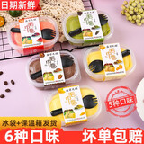 盛京天禄毛巾卷蛋糕爆浆甜品千层奶油甜点蛋糕生鲜休闲零食圣诞礼物 6种口味各一盒【6盒】