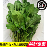 旷古农业东北新鲜臭菜 农家自种新鲜蔬菜大叶臭菜 正宗东北蘸酱小菜 250g