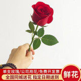 来一客鲜花速递公司活动用花团购全国同城配送单支玫瑰（10支起拍） 单支玫瑰（10支起送）