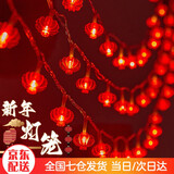 琉弦笙 彩灯串  新年装饰灯发光小灯笼元旦新年春节灯串挂饰阳台装饰灯 10米100灯