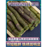 郑意铁皮石斛新鲜条100g胶多无渣4年霍山新鲜条正宗新鲜铁皮石斛煲汤