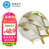 环球水产冷冻金鲳鱼 1kg/2条装 生鲜 鱼类 深海鱼 海鲜水产