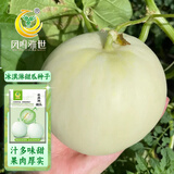 凤鸣雅世玉菇甜瓜种子白皮绿肉超甜哈密瓜种中熟正品四季冰淇淋甜瓜50粒