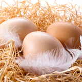 葛溪正太鸡蛋 农场直供 健康早餐 鲜蛋 农场直供鲜鸡蛋40枚【单枚40g】