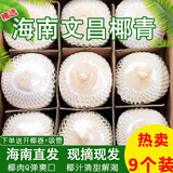 香果颜海南椰青当季新鲜椰子孕妇水果现摘现发 精选6个装大果