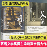 【京东包邮】《人世间》作者梁晓声作品集【多规格自选】父亲母亲人间烟火+觉醒+重生+雪城+返城年代梁晓声作品集 父亲+母亲2册