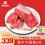 滩羊鲜生宁夏牛肉生鲜 黄牛新鲜原切牛腱子肉牛腿肉火锅食材清真源头直发 5斤牛里脊