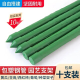 卫东包塑钢管支架杆家用植物花架子室外庭院架杆豆角黄瓜爬藤架番茄架 直径16mm长240cm【10支装】