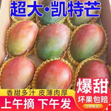 集南鲜 攀枝花凯特芒果 现摘青皮黄皮甜心芒果热带芒果新鲜时令生鲜水果 含箱10斤  500g起  净重9斤
