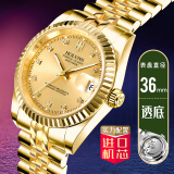 豪伦诗（HOLUNS）Holuns男士全自动机械手表透底商务男 R106全金透底单历