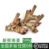 绿食者 新鲜南姜500g 泰式冬阴功汤调料火锅香料配料蔬菜