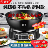 扬子电炒锅家用多功能锅大容量电火锅加厚铸铁电热锅大功率炒菜锅电煮锅爆炒一体电炖锅插电多用途锅 【单蒸笼】可定时升级款 口径38cm-功率2100w-适用5-7人