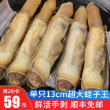 渔哥戏鱼鲜活现剥蛏子肉竹蛏子海圣子年货年夜饭 1000g
