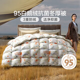 富安娜高端羽绒被95白鹅绒被子 冬季单人宿舍冬厚被 800g填充152×210cm