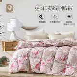 奈士迪 95%白鹅绒被柔面料羽绒被子冬天被芯95%白鹅绒冬被冬季 冬厚被 粉色印花 200*230cm春秋款（填充700g）