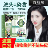 七味堂染发剂一洗黑纯染发膏植物天自然黑盖白头发然黑色男女士专用泡泡 自然黑 200ml 10袋 （盖白发）