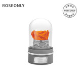 諾誓ROSEONLY星座独角兽抱抱龙永生花玫瑰花音乐球女友生日情人节礼物 双子座-音乐球-钟罩-守护色