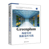 Greenplum构建实时数据仓库实践（大数据技术丛书）