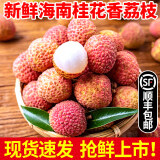 华味仙海南荔枝新鲜水果当季应季时令果蔬 新鲜荔枝带箱 3斤