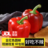 良知农哥 【JDL】新鲜圆椒五彩椒绿色七彩甜椒 健康轻食 5斤 全红色