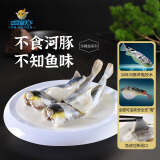 中洋鱼天下 (ZHONGYANG GLOBAL FISH) 冷冻河豚鱼150g 全程可追溯 30年养殖技术 生鲜 鱼类 海鲜水产