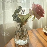 富贵竹大口径花瓶 简约玻璃花瓶水养韩式现代创意家居客厅餐厅干花插花装饰摆件 现代韩式南瓜：18cm透明色