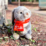 TRUDI围巾野兔公仔毛绒玩具兔兔玩偶生日情人节礼物送女友27cm