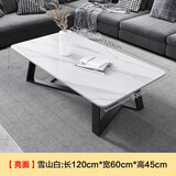 元榀生意式岩板茶几客厅小户型家用北欧式简约轻奢大理石长方形茶桌子 【亮面款】雪山白120*60*45