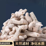 边胜珊瑚骨滤材优质珊瑚砂鱼缸过滤材料菲律宾珊瑚沙提高PH滤材海水 珊瑚骨1斤+网袋