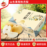 自然搭档山东莱阳秋月梨 新鲜应季现摘黄金酥脆梨 4.5斤4-6枚单果300g+