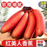 兮柔福建红皮香蕉 新鲜香蕉 红美人火龙蕉软糯香甜当季水果现摘整箱 5斤 【80%人选择】